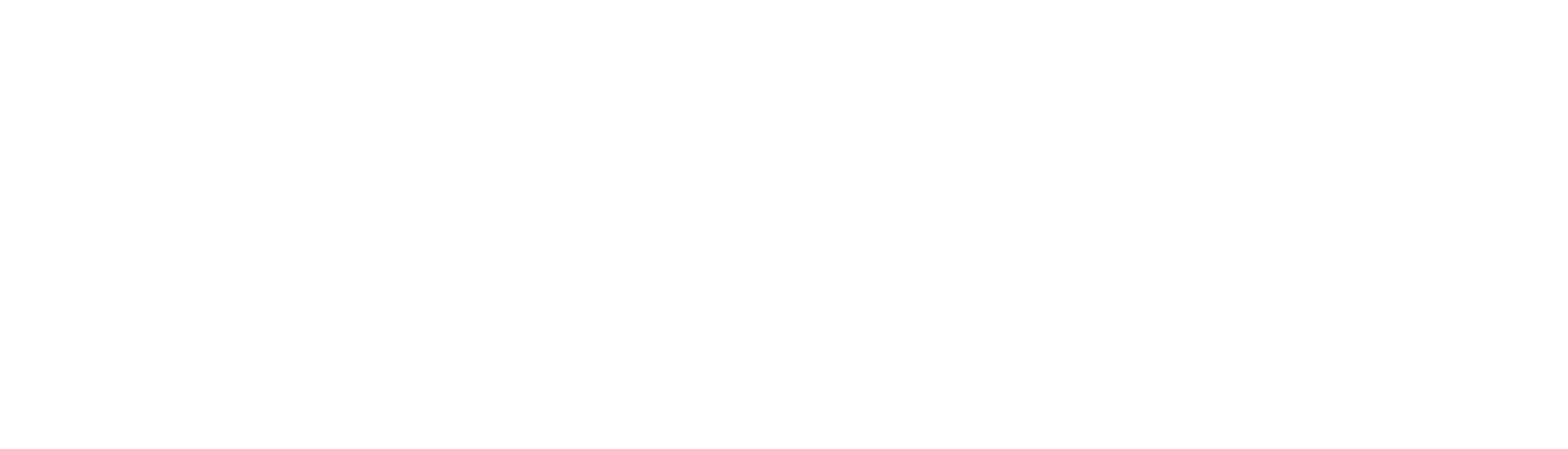 Seamax Freight Systems